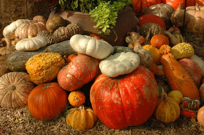155 Halloween Trivia Questions To Make The Scariest Night Even Scarier