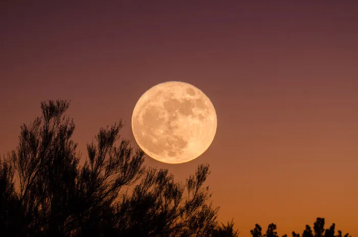 155 Halloween Trivia Questions To Make The Scariest Night Even Scarier