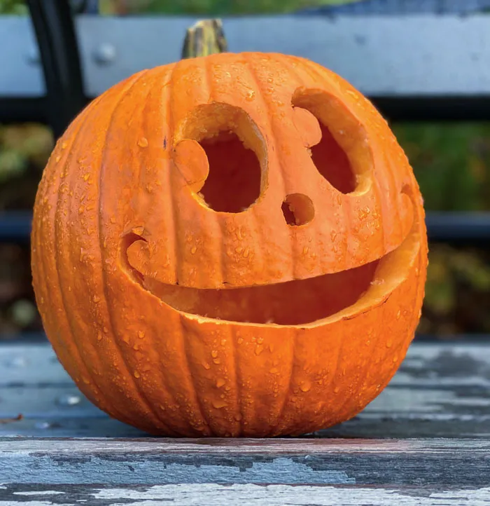 155 Halloween Trivia Questions To Make The Scariest Night Even Scarier