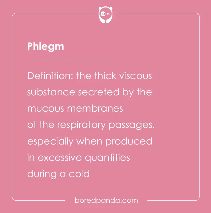 Phlegm definition card from hard spelling bee words showing thick viscous substance secreted by respiratory mucous membranes.