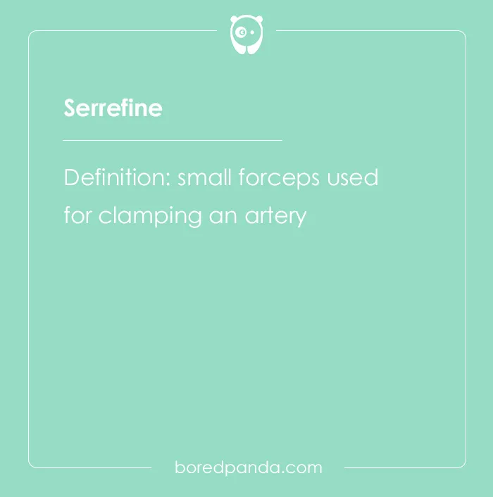 Serrefine spelling bee word with definition as a small forceps used for clamping an artery on a green background.