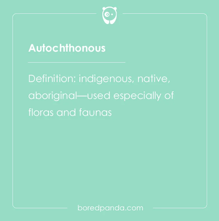 Autochthonous meaning indigenous and native, featured among hard spelling bee words we are glad not to spell aloud.
