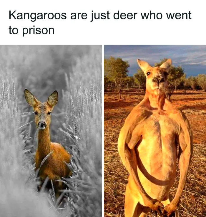 50 Hilarious Memes That Kind Of Have A Point, As Shared On "Brainy Memes" (New Pics)