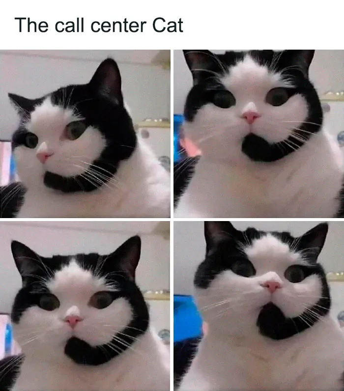 50 Hilarious Memes That Kind Of Have A Point, As Shared On "Brainy Memes" (New Pics)
