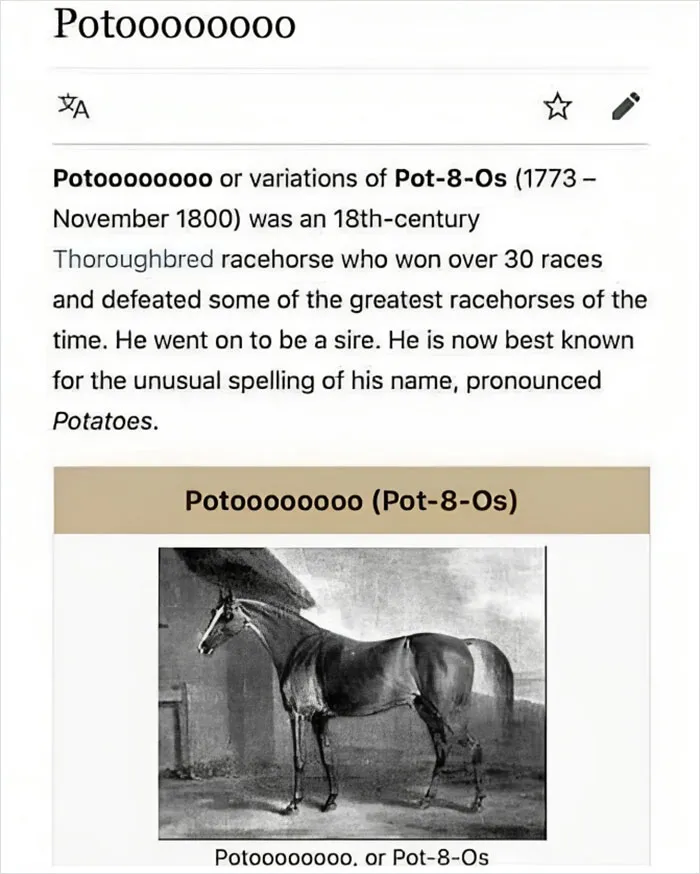 Historical (But I Think Hilarious) Tragedeigh
