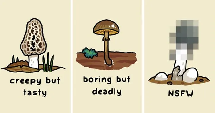 This Artist Brings Laughter To Bird And Nature Lovers With Humorous Comics (30 Pics)