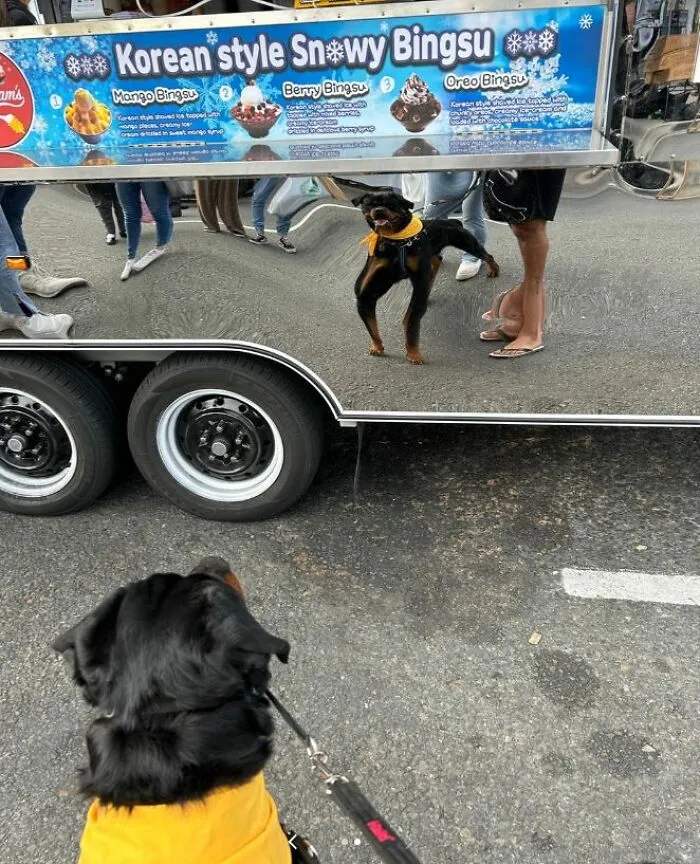 30 People Who Took The Funniest Pics And Finally Had A Chance To Show Them To The World