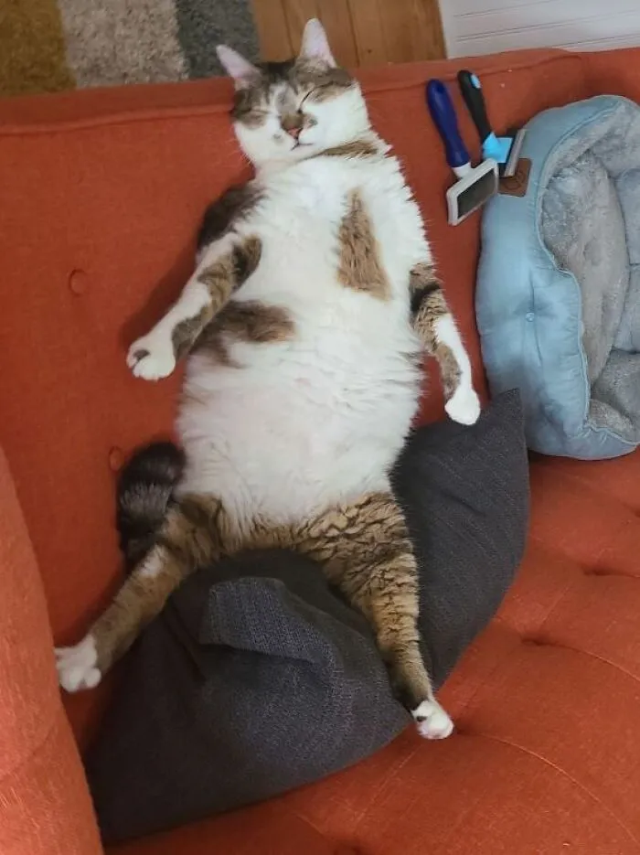30 People Who Took The Funniest Pics And Finally Had A Chance To Show Them To The World