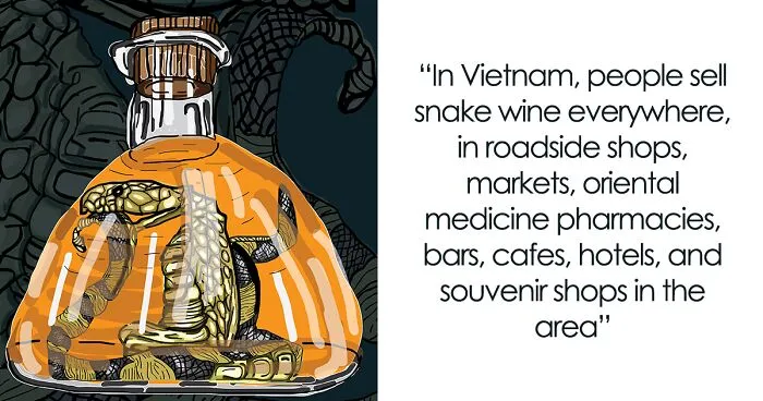 My 6 Illustrations Of Weird And Creepy Vietnamese Food