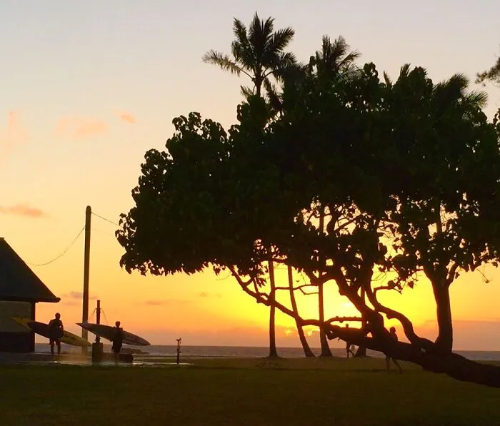 Tropical Sunset