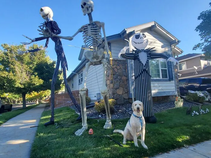 Our Dog Poses With Neighbors' Halloween Decorations (14 Pics)