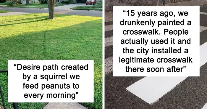 30 Times People Ignored The Designated Paths In The Name Of Convenience (New Pics)