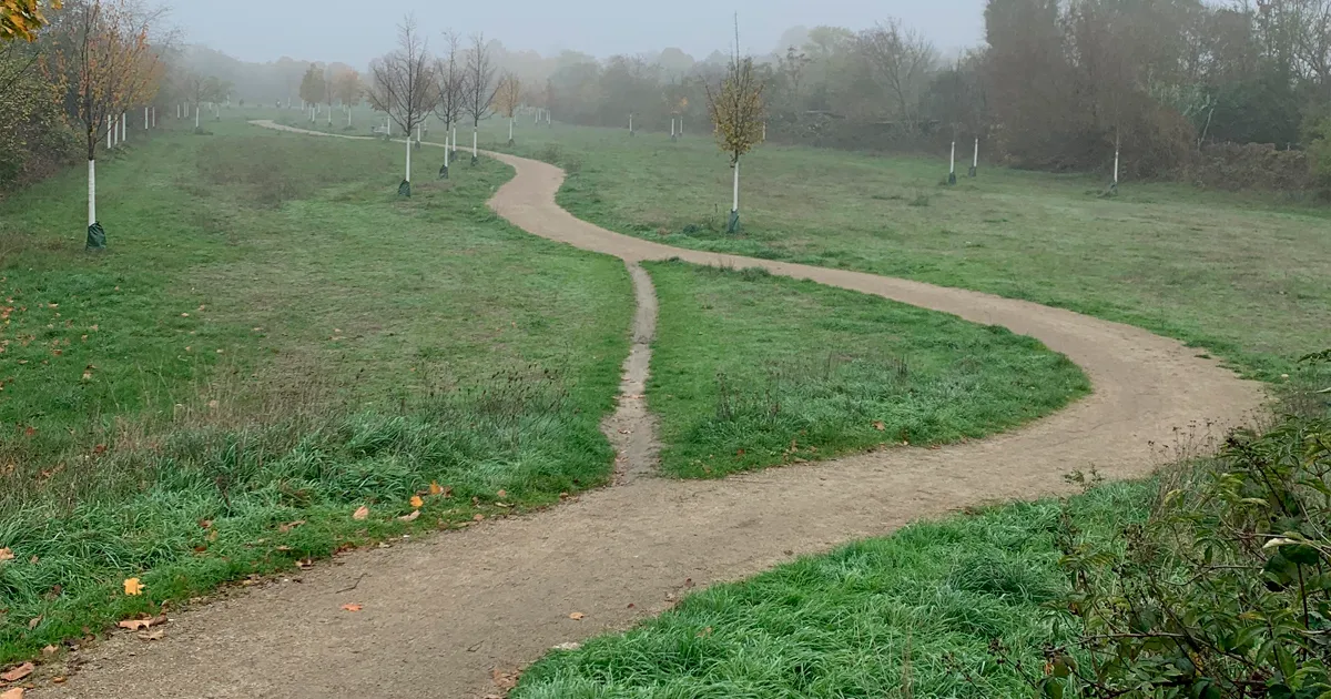 25 "Caminos del deseo" creados para la conveniencia de la gente en lugar de las rutas designadas