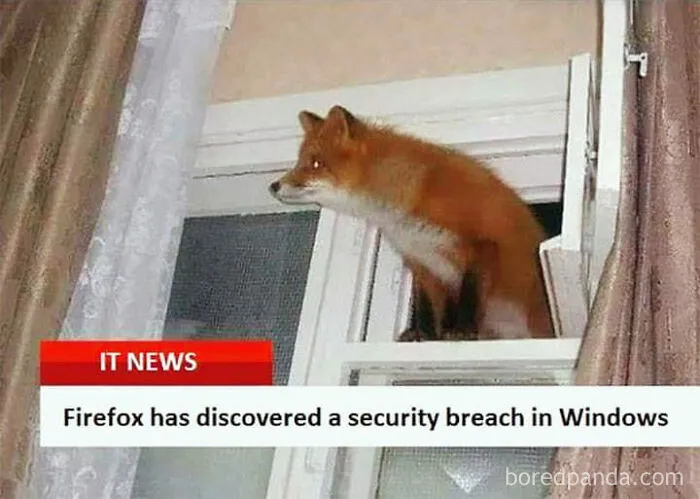 Fox