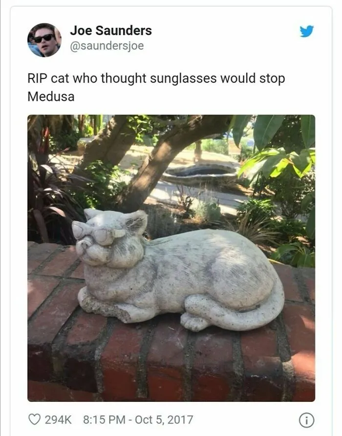 Cat!! Nooooo