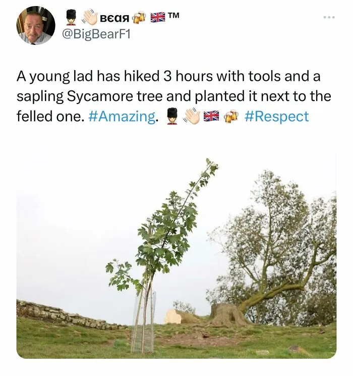 Screenshot Of UK Life: 45 'Great British Memes' That Perfectly Capture British Humor (New Pics)