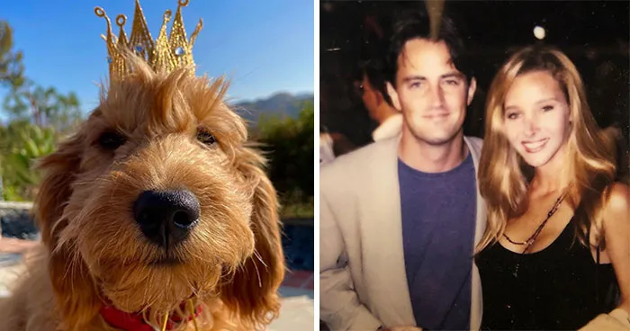 Lisa Kudrow “Wants To Adopt Matthew Perry's Dog” As She Shares Sad Theory Behind His Death