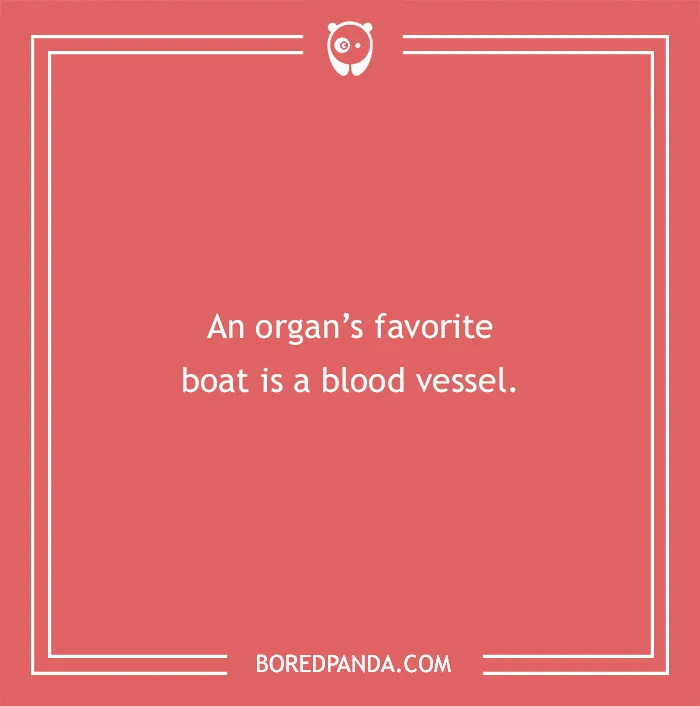 Medical pun about an organ's favorite boat being a blood vessel, on a red background.