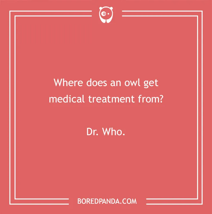 Text reads a medical pun about an owl and Dr. Who, on a red background with a bear icon.