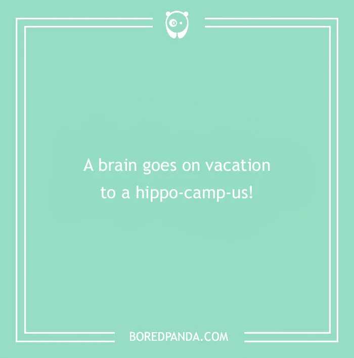 Medical pun text on a green background: "A brain goes on vacation to a hippo-camp-us!"