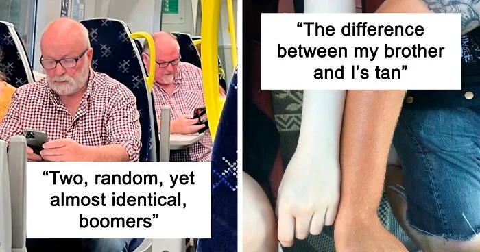 ‘Mildly Interesting’: 50 Pics Of Random Things To Pique Your Interest Very Slightly (New Pics)
