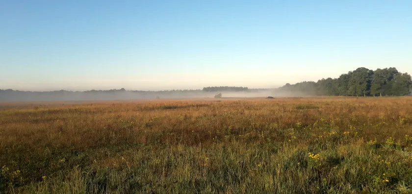 Diverse Landscapes Of The Netherlands