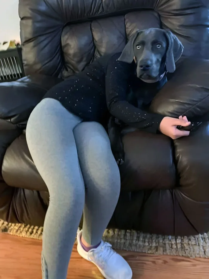 My Dog Just Chilling