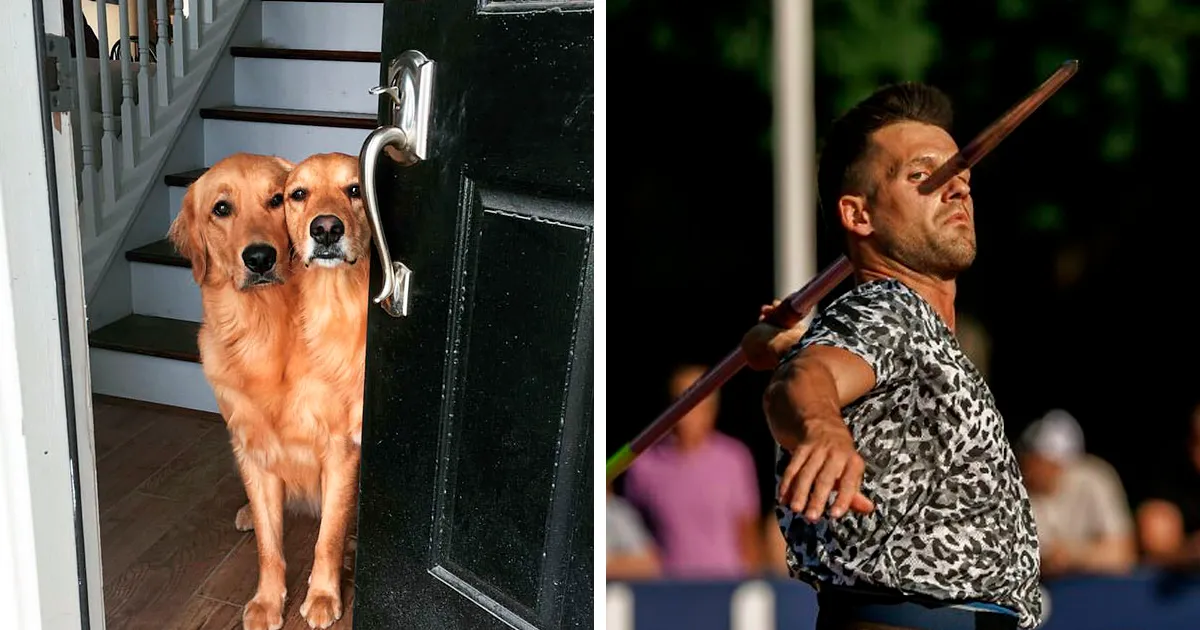 38 Fotos increíbles que cuesta creer que no tengan Photoshop (nuevas imágenes)