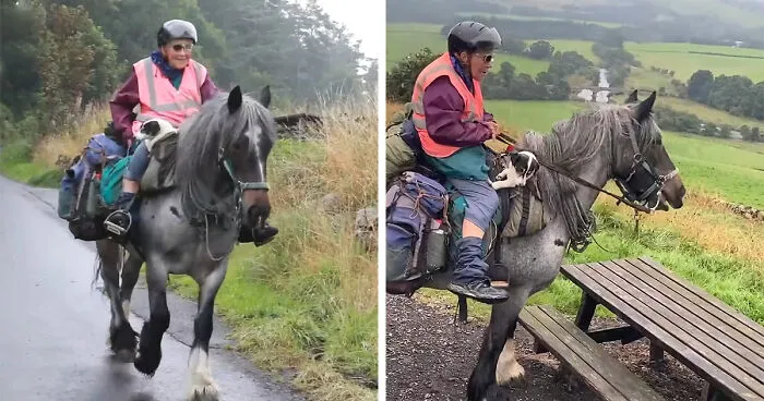 82 Y.O. Hiker Just Returned From Epic 600-Mile Horseback Journey With Her 10 Y.O. Dog In Tow
