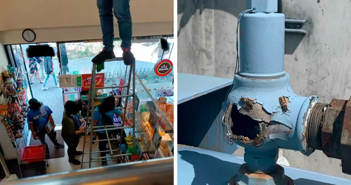 30 Pics Of People Who Haven't Learned OSHA Regulations Are There For A Reason Yet (New Pics)