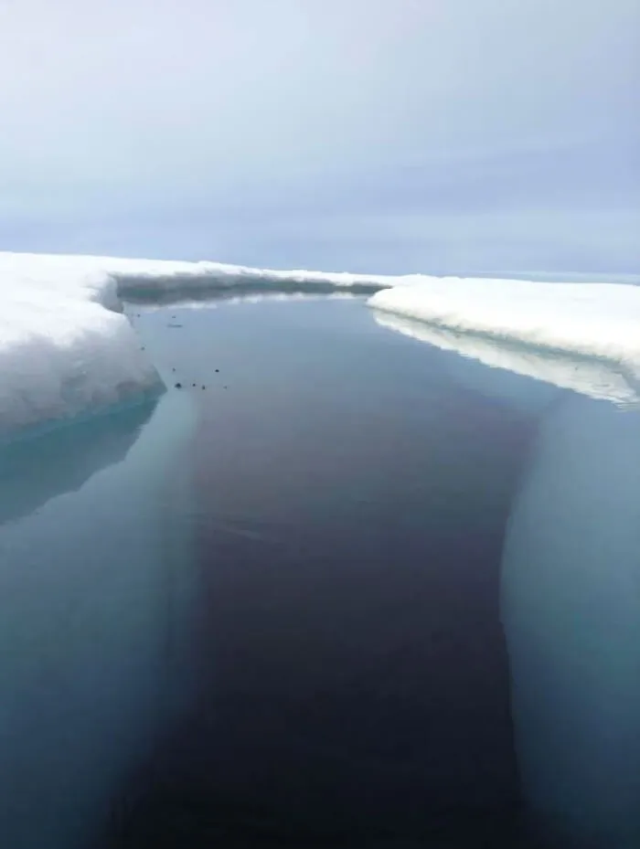 Gjoa Haven, Nunavut. Where Inuit Still Hunt For Food And Often Have To Cross Cracks Like This With Their Snowmobiles And Homemade Sleds (Though Not As Big As This)