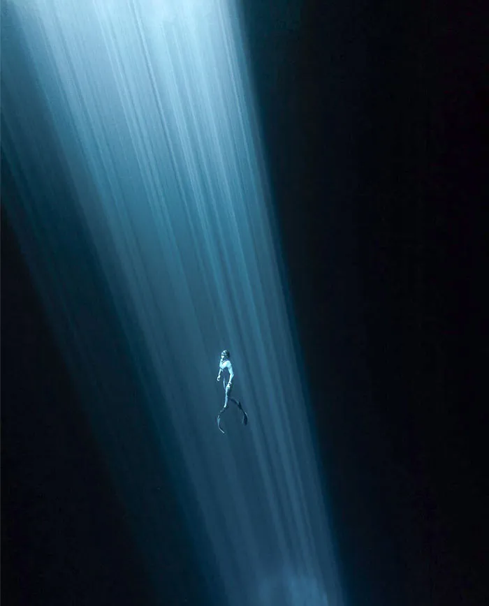 In The Water Column