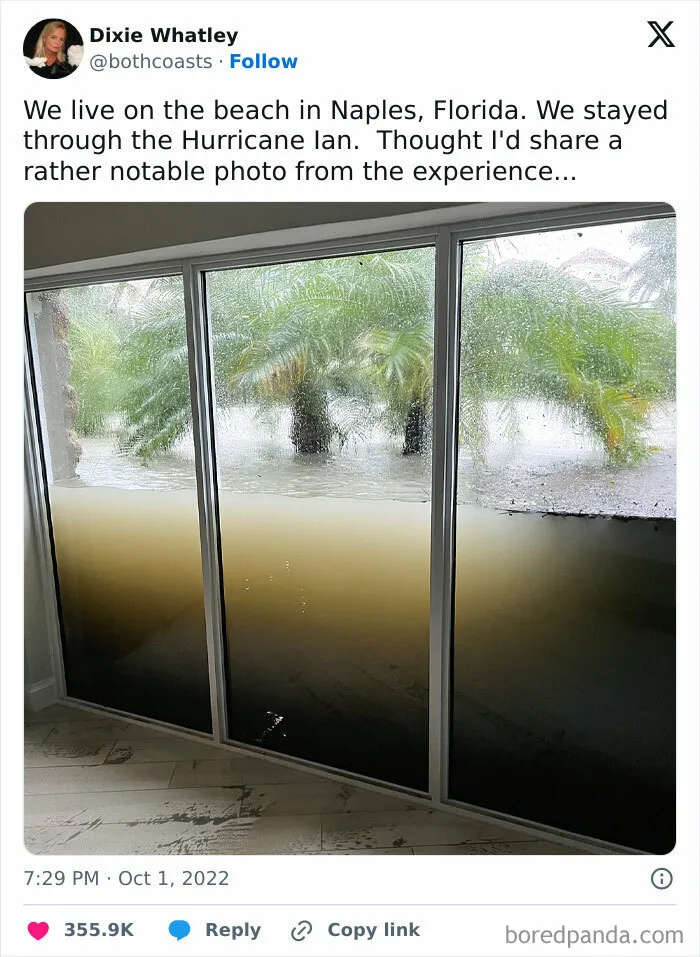 Now You Have An Aquarium