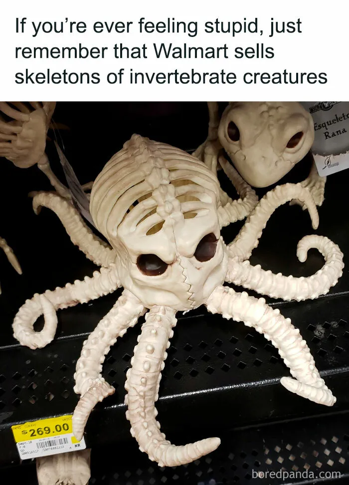I Hope This Counts?
