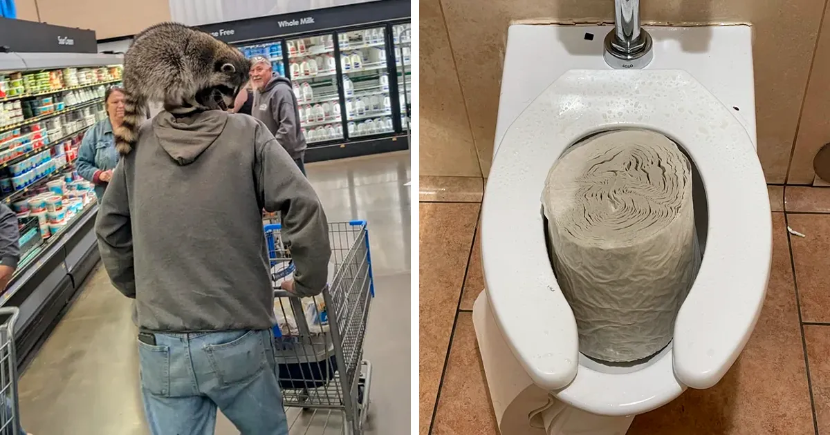 24 De las fotos más caóticas de la «gente de Walmart» (Nuevas imágenes)