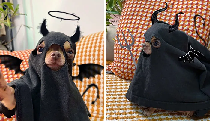 He's Got Some Halloween Costumes