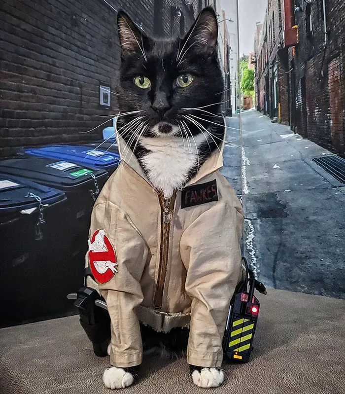 I Ain't Afraid Of No Ghost