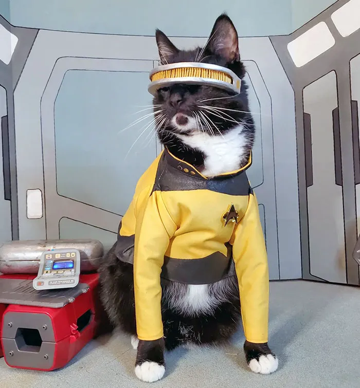 Computer, Run Holodeck Program Halloween. Won