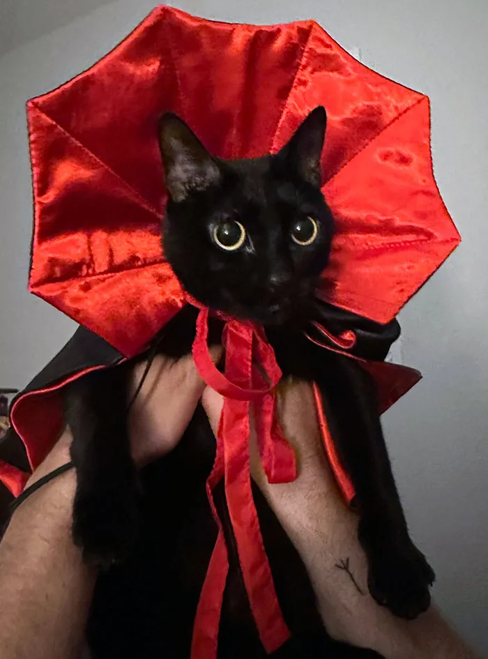 Ready For Halloween