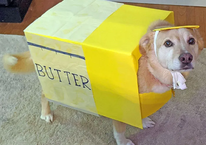 This Is Our Foster, Butter, Being Himself For Halloween