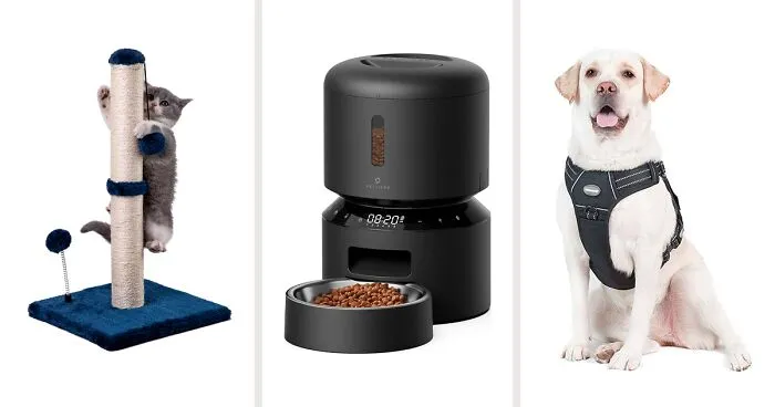Score Big Savings on Pet Essentials During Prime Day