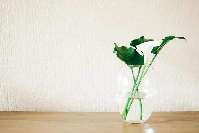 “What Are Some Things You'd Only Buy Second-Hand, Never Brand New?” (30 Answers)