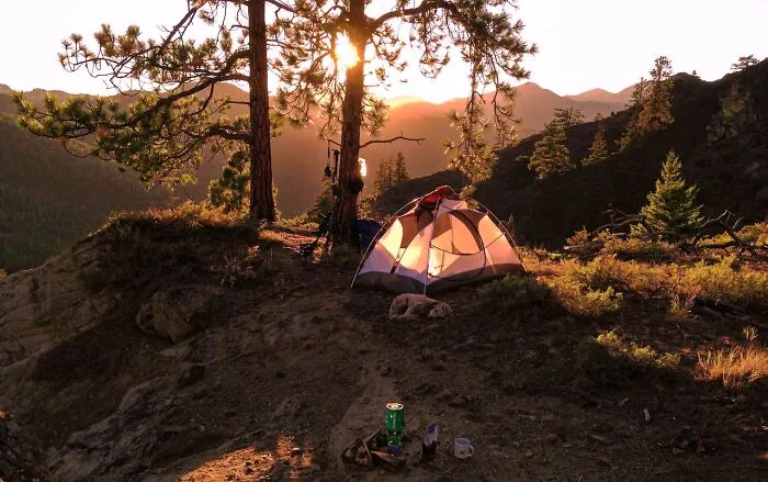 40 Dumb And Funny Mistakes People Made While Traveling