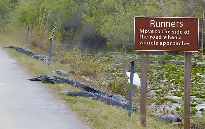 "Photos Taken Before Disaster": 45 Pics That Foreshadow Unfortunate Events