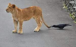 "Photos Taken Before Disaster": 45 Pics That Foreshadow Unfortunate Events