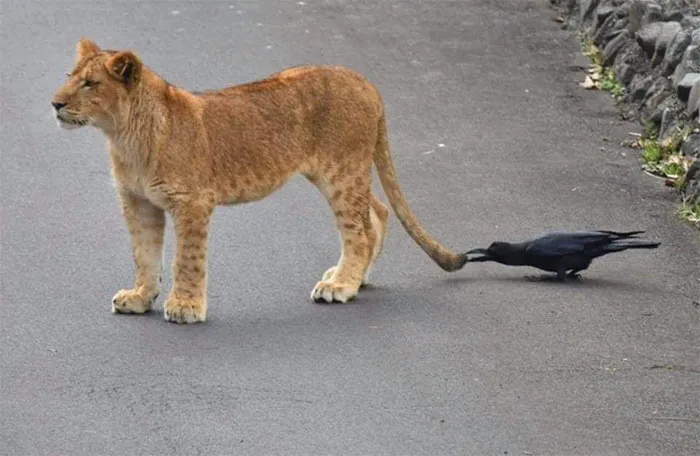 "Photos Taken Before Disaster": 45 Pics That Foreshadow Unfortunate Events