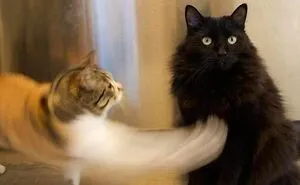 "Photos Taken Before Disaster": 45 Pics That Foreshadow Unfortunate Events