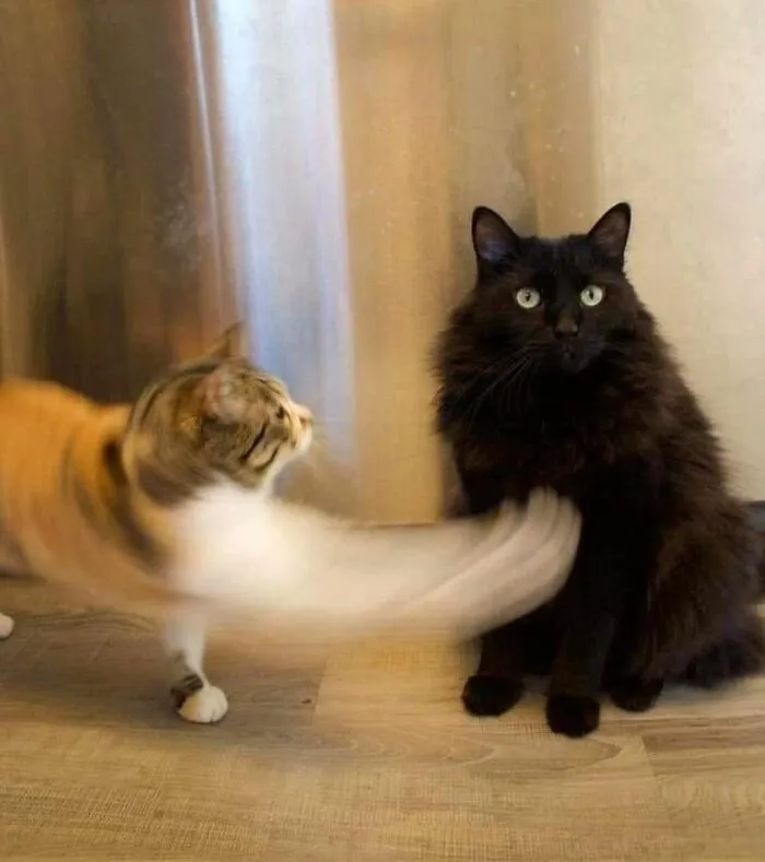 Photos-Taken-Before-Disaster