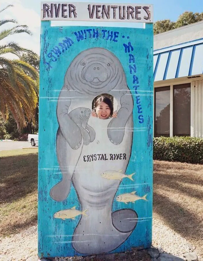 Face In A Hole In Front Of Manatee Tour Office In Florida, US. At The Entrance Of Manatee Tour Center
