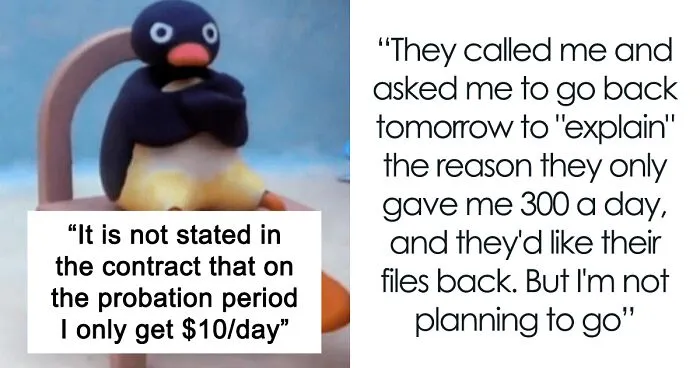 New Employee Gets Paid A Laughable Part Of What’s Agreed, Deletes Their Work And Quits Immediately